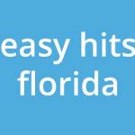 easyhitsflorida logo
